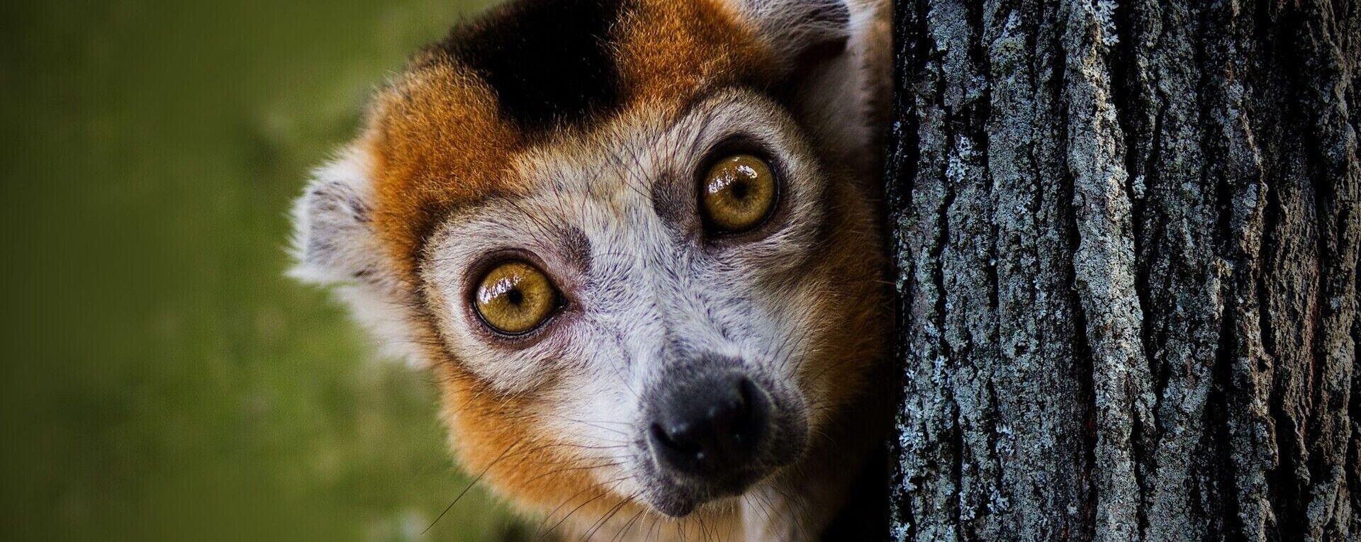 Hoe geef je jouw nieuwsbrief een pakkende titel?